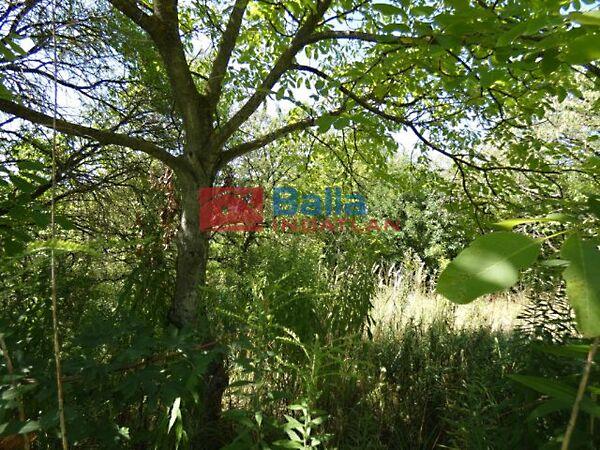 Pilisborosjenő 3. képe