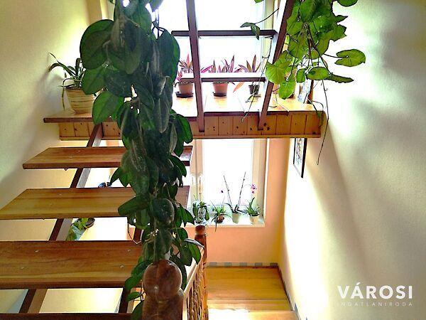 Mátraszőlős 2. képe