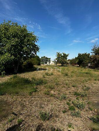 Liszt Ferenc, Ercsi 2. képe