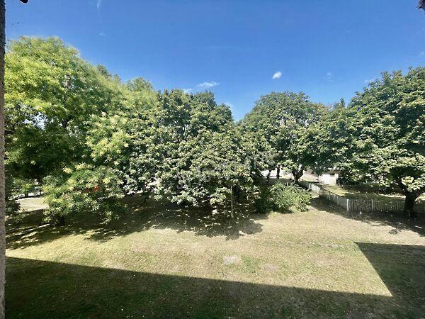 Petőfi Sándor, Oroszlány képe