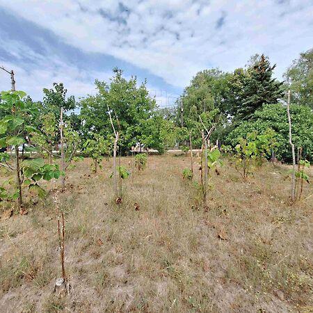 Mezőkomárom 3. képe