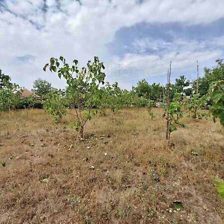 Mezőkomárom 2. képe