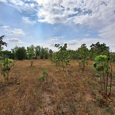 Mezőkomárom 2. képe