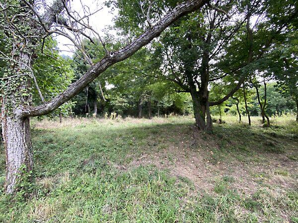 Zalaszántó 3. képe