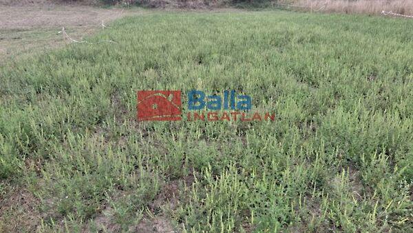 Csendes, Siójut 2. képe