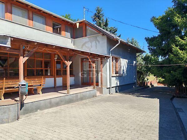 Stresszmentes élet, Sülysáp 3. képe