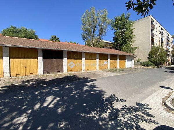 Tulipán, Békéscsaba képe