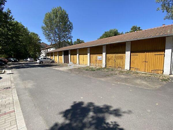 Tulipán, Békéscsaba 2. képe