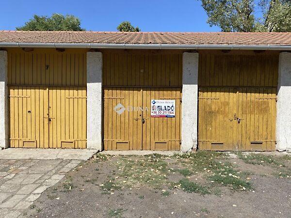 Tulipán, Békéscsaba 3. képe