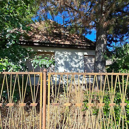 Judit Ingatlan és, Pilis képe