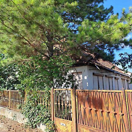 Judit Ingatlan és, Pilis 2. képe