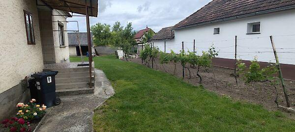 Bartók Béla, Lébény 3. képe