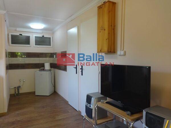 Csalogány, Tiszakécske 3. képe