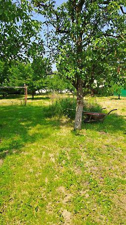 Nyíregyháza 2. képe