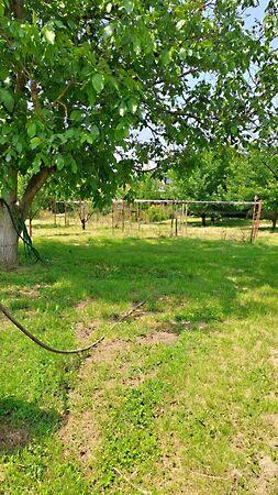 Nyíregyháza 3. képe