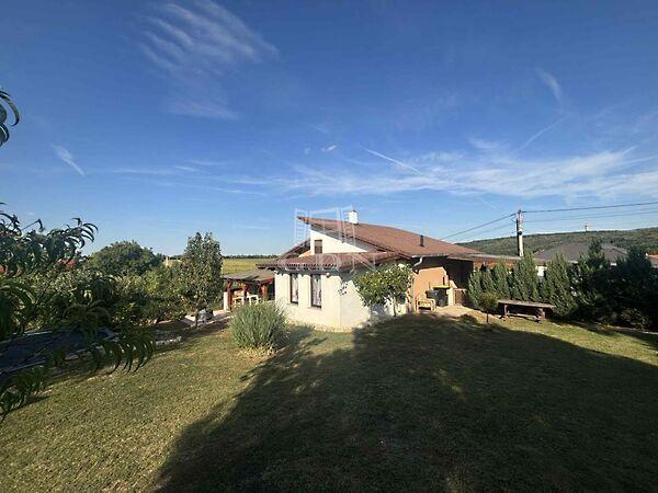 Tölgyfa, Dozmat képe