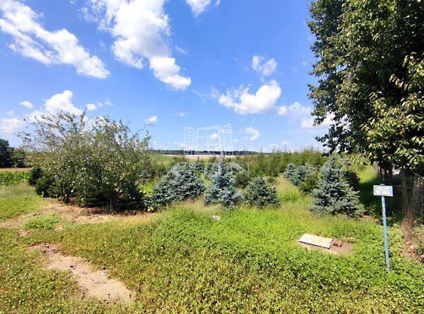 Rigyác építési, Rigyác 3. képe