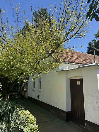 Széchenyi, Létavértes képe