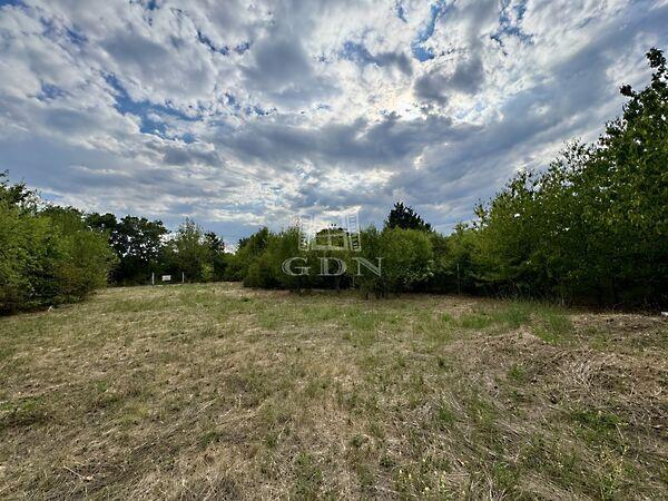 Fácán, Budaörs 3. képe