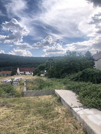 Pálosvörösmart 3. képe