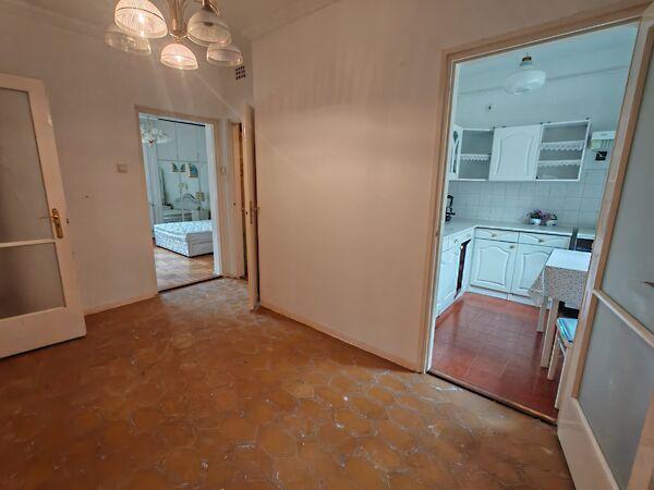 Rigó, Szeged 3. képe