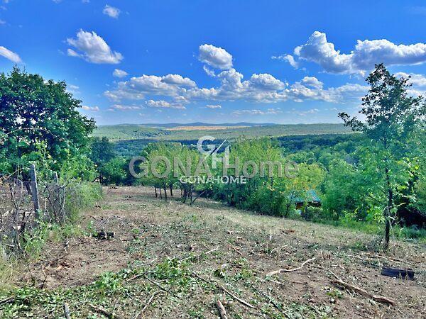 Nefelejcs, Veszprém képe