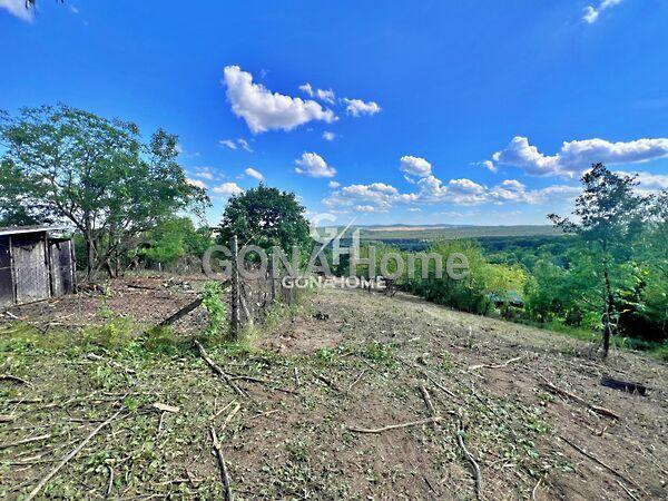 Nefelejcs, Veszprém 2. képe