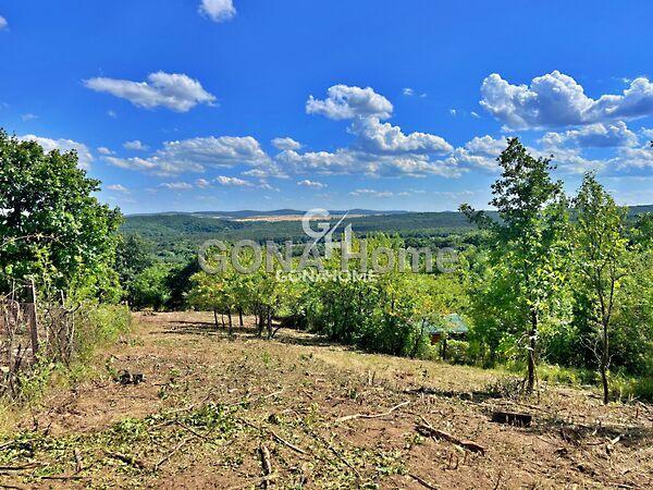 Nefelejcs, Veszprém 3. képe