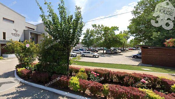 Fogoly, Tiszakécske képe