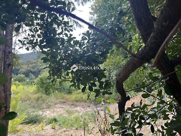 Mese, Budapest, XII. kerület 2. képe