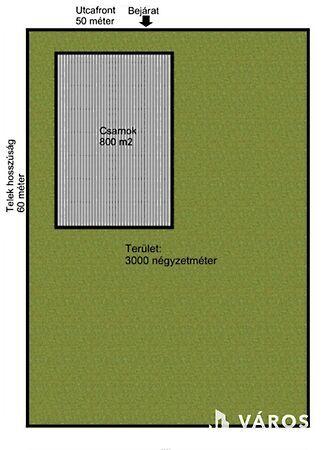 Szeged, Szeged 3. képe