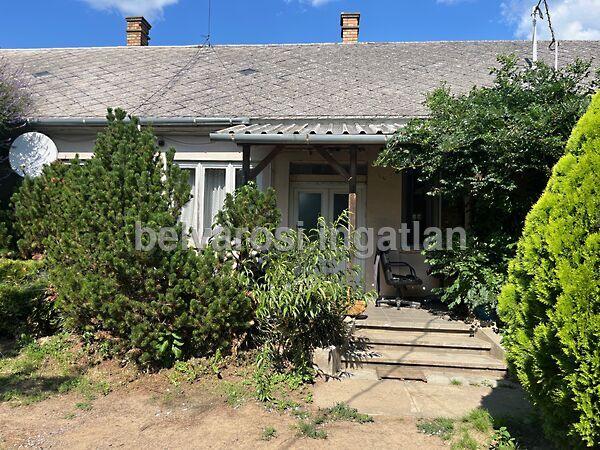 Ököritófülpös képe