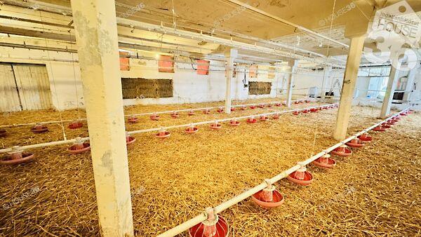 Kiskunfélegyháza képe