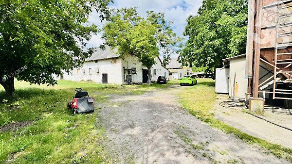 Kiskunfélegyháza 2. képe