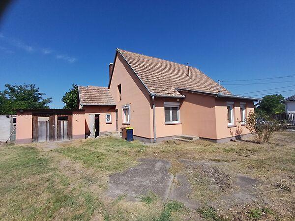 Tulipán, Solt képe