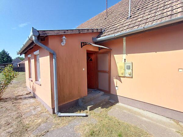 Tulipán, Solt 3. képe