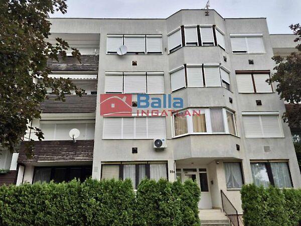 Dr Babócsay, Hévíz 2. képe