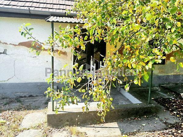 Ady Endre, Karancsalja képe