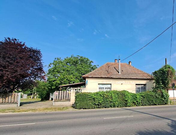 Coop, Dunapataj képe