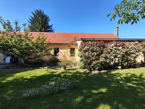 Badacsonytördemic képe