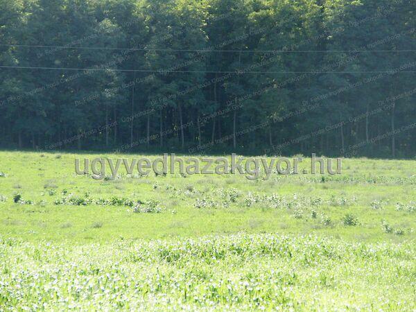 Győrszemere 2. képe