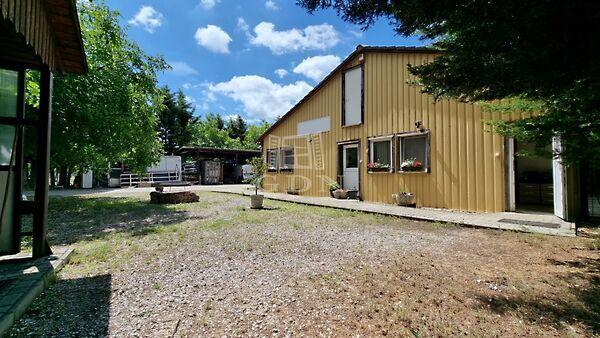 Virág, Székesfehérvár 3. képe