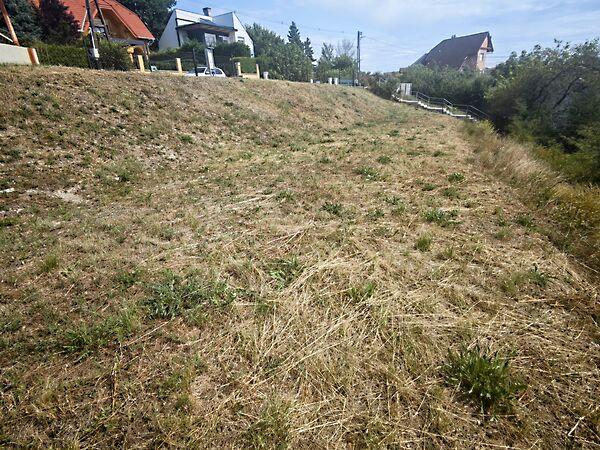 Balatonfűzfő 3. képe