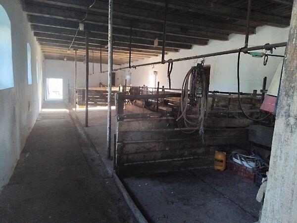 Szalmás, Hosszúpályi képe