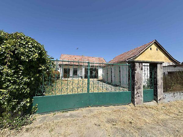 Rózsa, Hajós képe