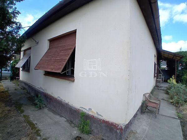 Rózsa, Hajós 2. képe