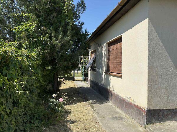 Rózsa, Hajós 3. képe