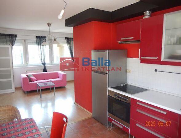 Víg, Budapest, VIII. kerület 3. képe