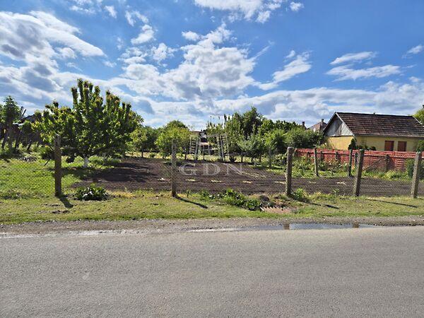 Kinizsi, Tiszavasvári 3. képe