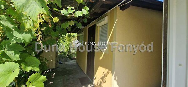 Tulipán, Buzsák 2. képe